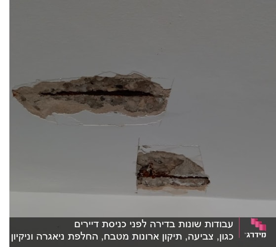עבודות שונות בדירה לפני כניסת דיירים כגון, צביעה, תיקון ארונות מטבח, החלפת ניאגרה וניקיון כללי. 

